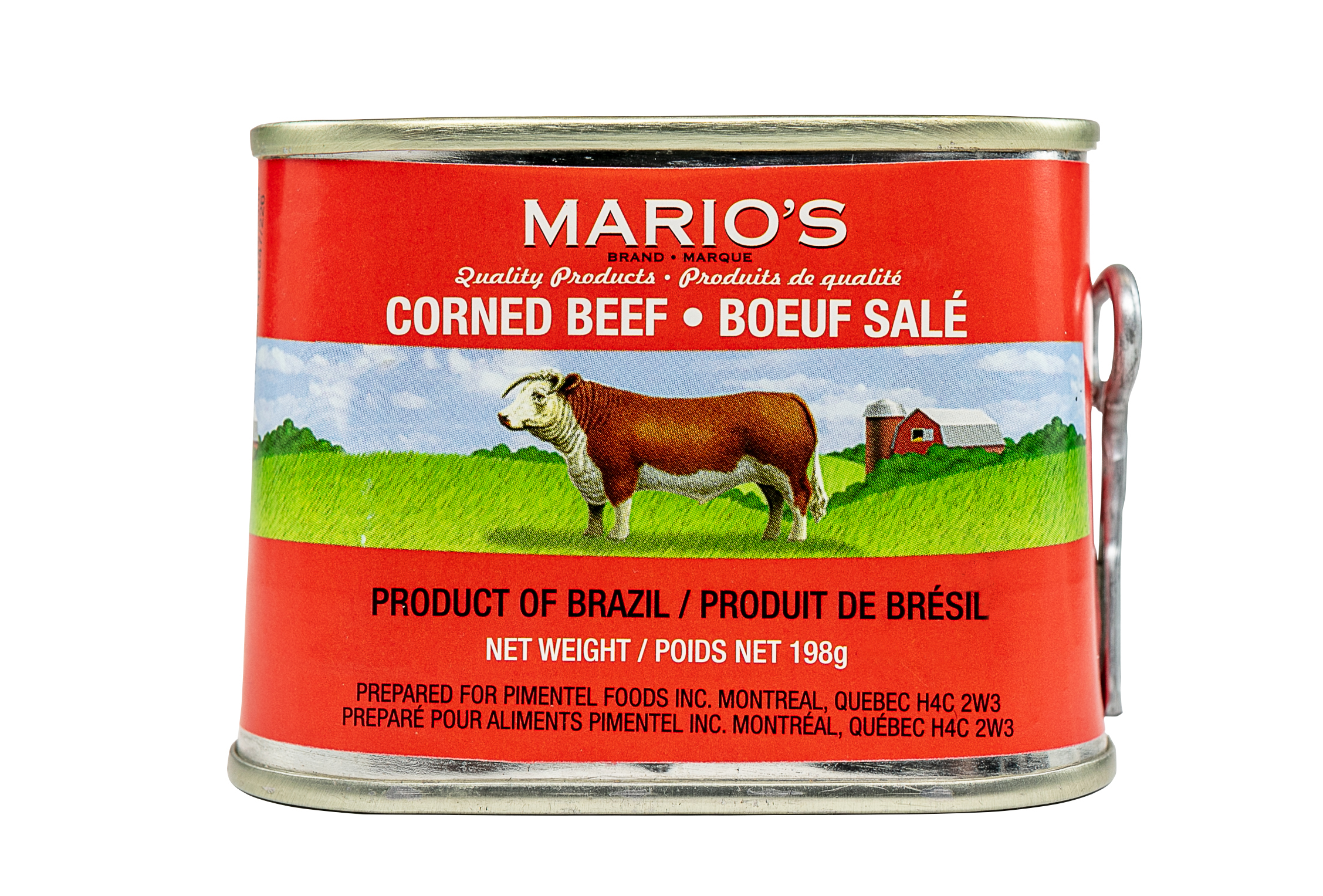 Mario